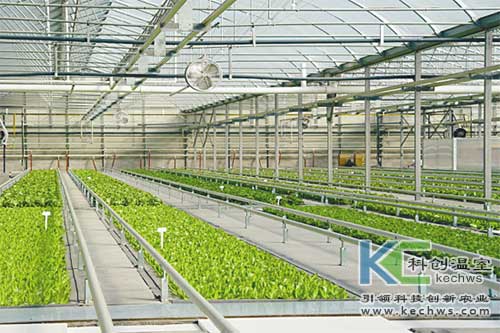 無土栽培，無土栽培技術，無土栽培設備