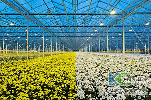 無(wú)土栽培，無(wú)土栽培技術(shù)，無(wú)土栽培設(shè)備