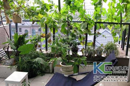 無土栽培，無土栽培技術，無土栽培設備