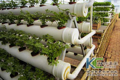 無(wú)土栽培,無(wú)土栽培技術(shù),栽培技術(shù)