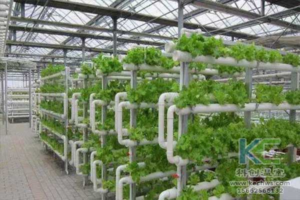 無土栽培，無土栽培技術，無土栽培設備
