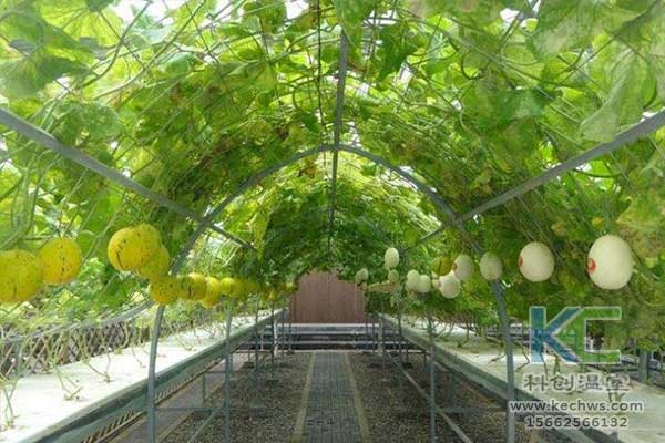 無土栽培，無土栽培技術(shù)，無土栽培設(shè)備