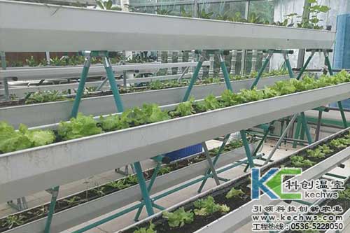 無土栽培，無土栽培技術，無土栽培設備