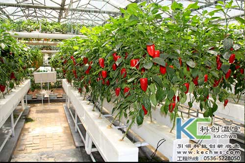 無土栽培，無土栽培技術，無土栽培設備