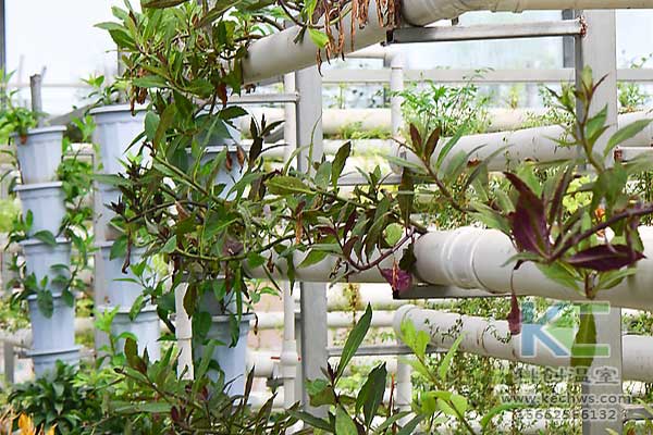 無土栽培，無土栽培技術(shù)，無土栽培設(shè)備