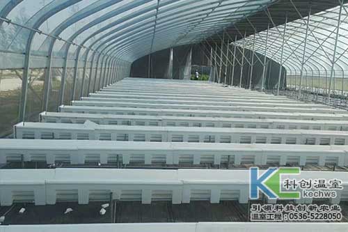 無(wú)土栽培，無(wú)土栽培技術(shù)，無(wú)土栽培設(shè)備