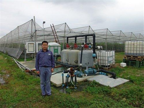 無(wú)土栽培，無(wú)土栽培技術(shù)，無(wú)土栽培設(shè)備