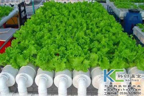 無土栽培，無土栽培技術，無土栽培設備
