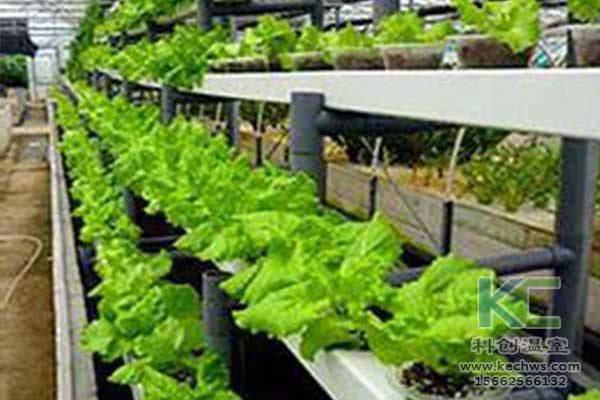 無土栽培，無土栽培技術，無土栽培設備