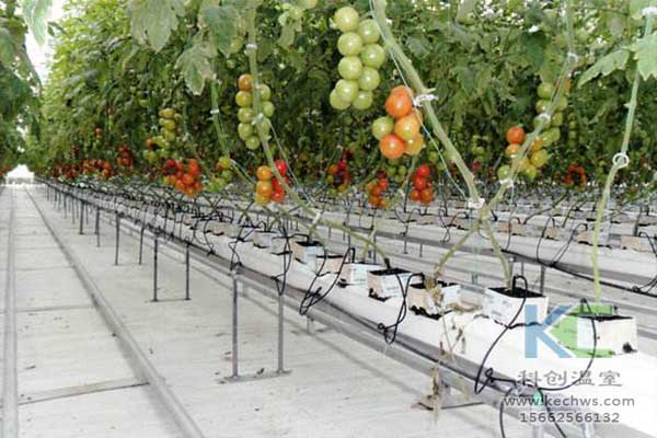 無土栽培，無土栽培技術，無土栽培設備