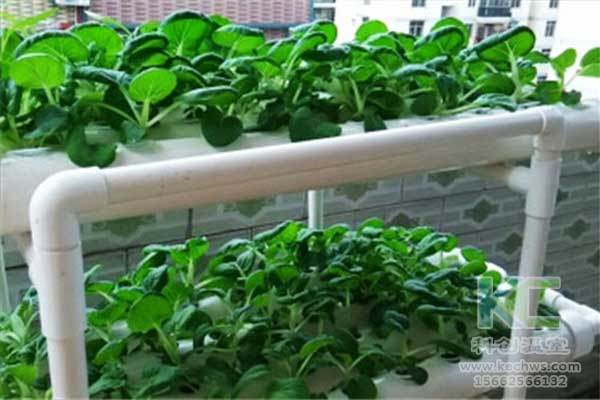 無土栽培，無土栽培技術，無土栽培設備