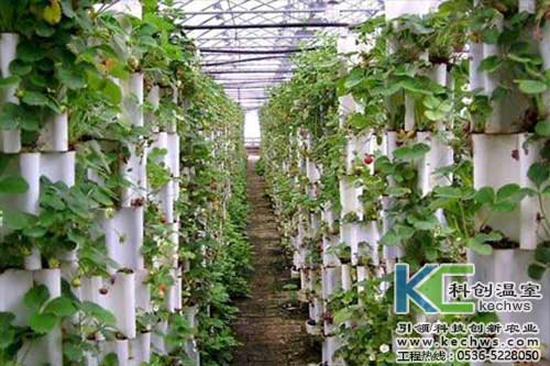 無土栽培，無土栽培技術，無土栽培設備