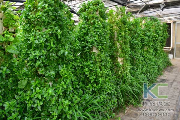 無土栽培，無土栽培技術，無土栽培設備