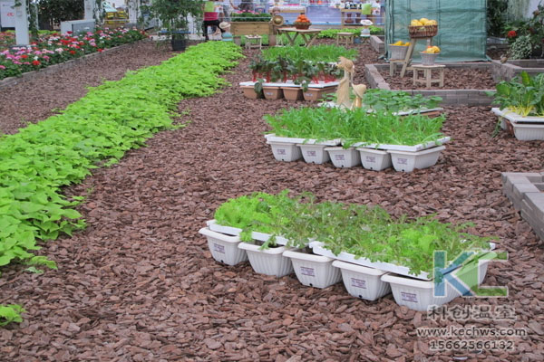 無土栽培，無土栽培技術，無土栽培設備