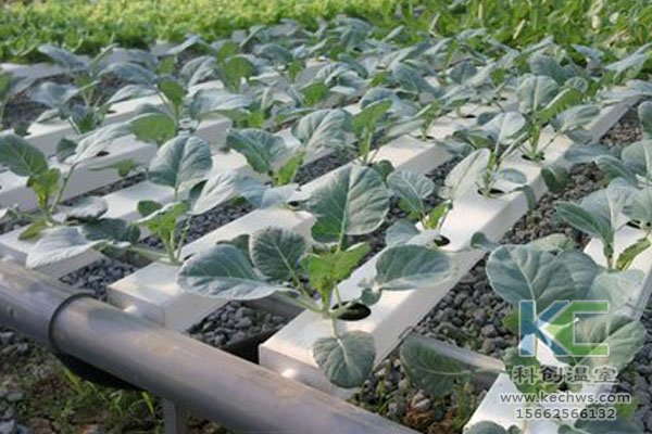 無(wú)土栽培，無(wú)土栽培技術(shù)，無(wú)土栽培設(shè)備