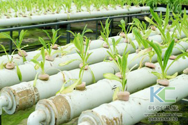 無土栽培技術,無土栽培設備,無土栽培,溫室大棚