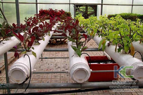 無(wú)土栽培,無(wú)土栽培技術(shù),無(wú)土栽培設(shè)備