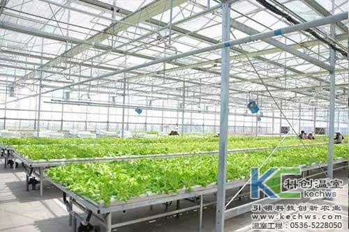 無(wú)土栽培，營(yíng)養(yǎng)液