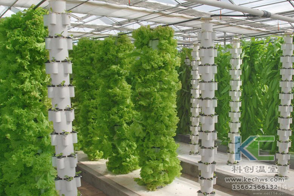 無土栽培，無土栽培技術(shù)，無土栽培設(shè)備