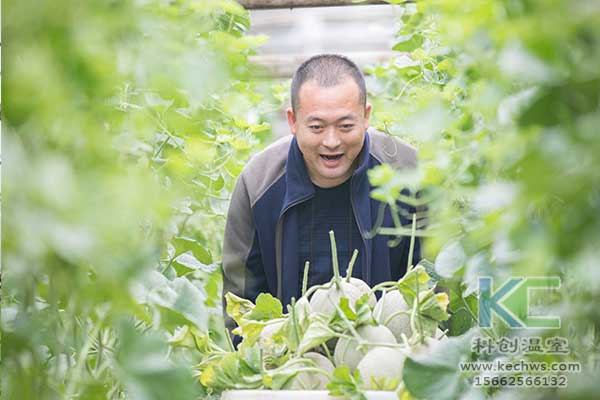 無土栽培，無土栽培技術，無土栽培設備