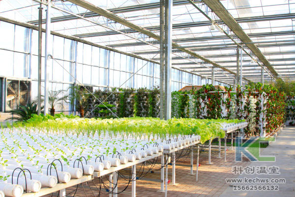 無(wú)土栽培，無(wú)土栽培技術(shù)，無(wú)土栽培設(shè)備