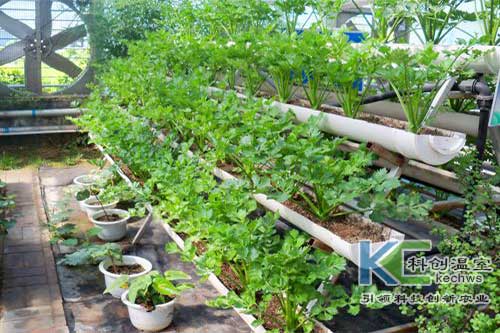 無土栽培，無土栽培技術，無土栽培設備