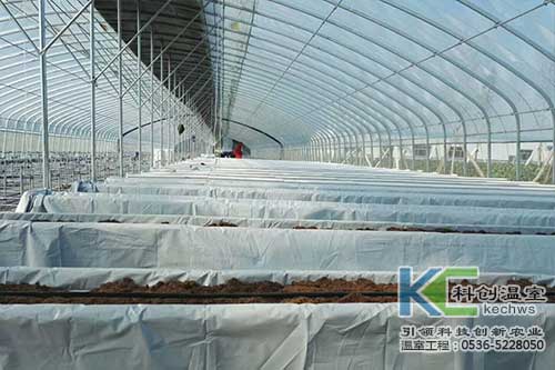 無(wú)土栽培，無(wú)土栽培技術(shù)，無(wú)土栽培設(shè)備