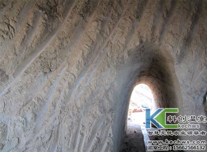 無土栽培，無土栽培技術，無土栽培設備