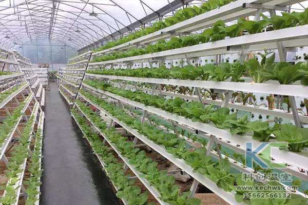無土栽培，無土栽培技術，無土栽培設備