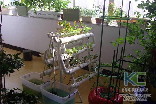 無土栽培，無土栽培技術(shù)，無土栽培設(shè)備