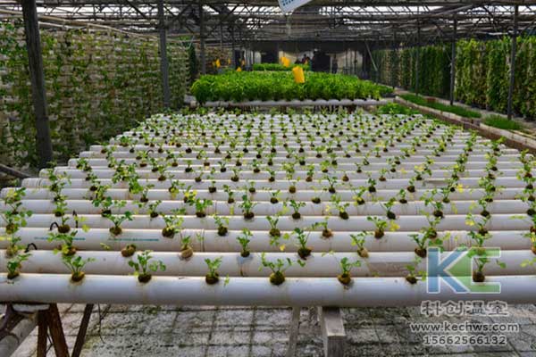 無(wú)土栽培，無(wú)土栽培技術(shù)，無(wú)土栽培設(shè)備