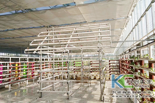 無(wú)土栽培,基質(zhì)栽培,水培