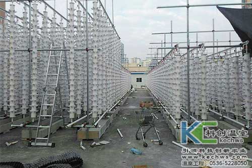 立柱栽培，無土栽培，天空農(nóng)場(chǎng)