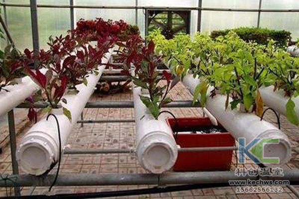 無土栽培，無土栽培技術，無土栽培設備