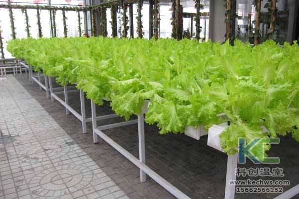 無土栽培，無土栽培技術，無土栽培設備