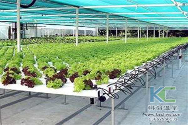 無土栽培，無土栽培技術，無土栽培設備