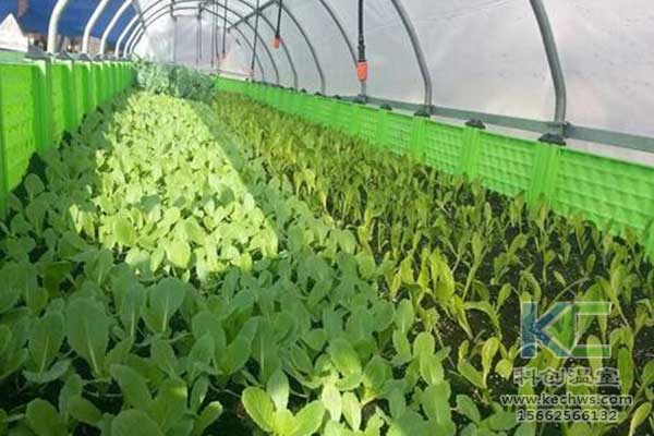 無土栽培，無土栽培技術，無土栽培設備