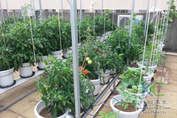 無土栽培，無土栽培技術(shù)，無土栽培設(shè)備