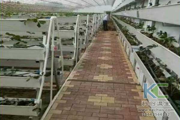 無土栽培,無土栽培技術,無土栽培設備