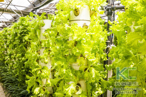 無土栽培，無土栽培技術(shù)，無土栽培設備