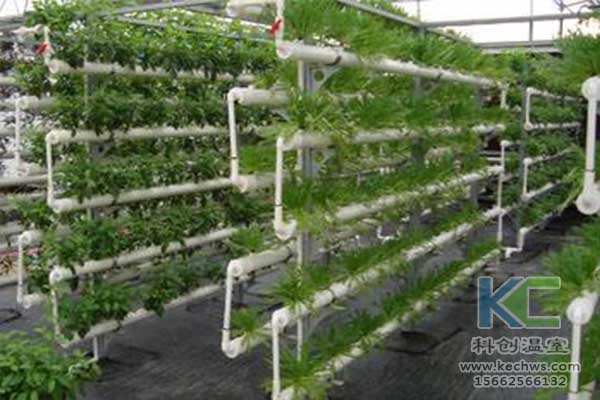 無(wú)土栽培，無(wú)土栽培技術(shù)，無(wú)土栽培設(shè)備