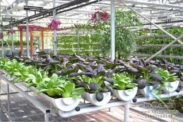 無土栽培，無土栽培技術，無土栽培設備