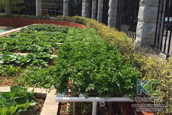 無(wú)土栽培，無(wú)土栽培技術(shù)，無(wú)土栽培設(shè)備