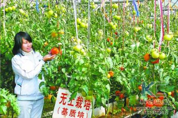 無土栽培，無土栽培技術(shù)，無土栽培設(shè)備