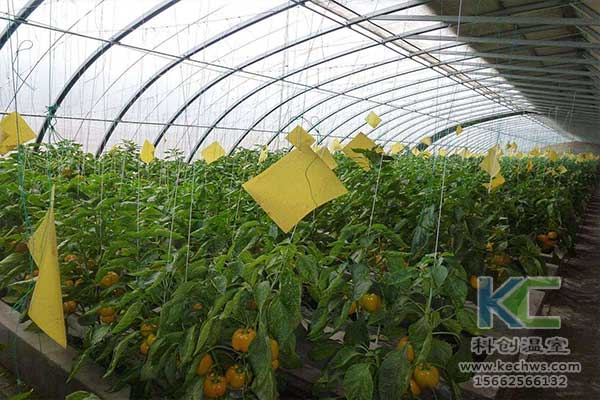 無土栽培，無土栽培技術，無土栽培設備