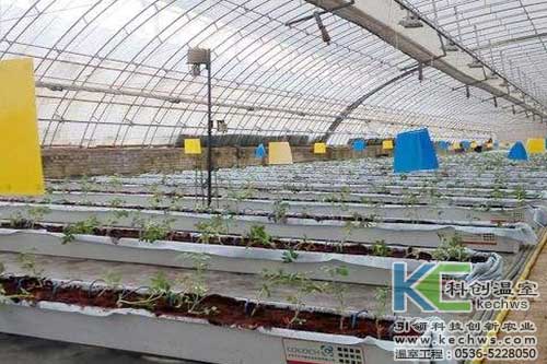 無土栽培，無土栽培技術，無土栽培設備