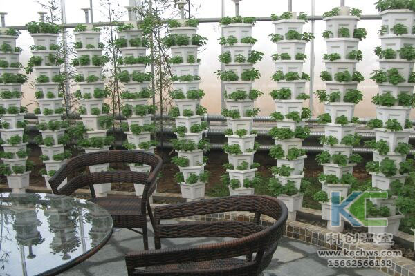 無土栽培,無土栽培技術,無土栽培設備