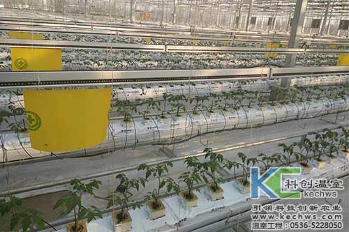 無土栽培,無土栽培技術,無土栽培設備