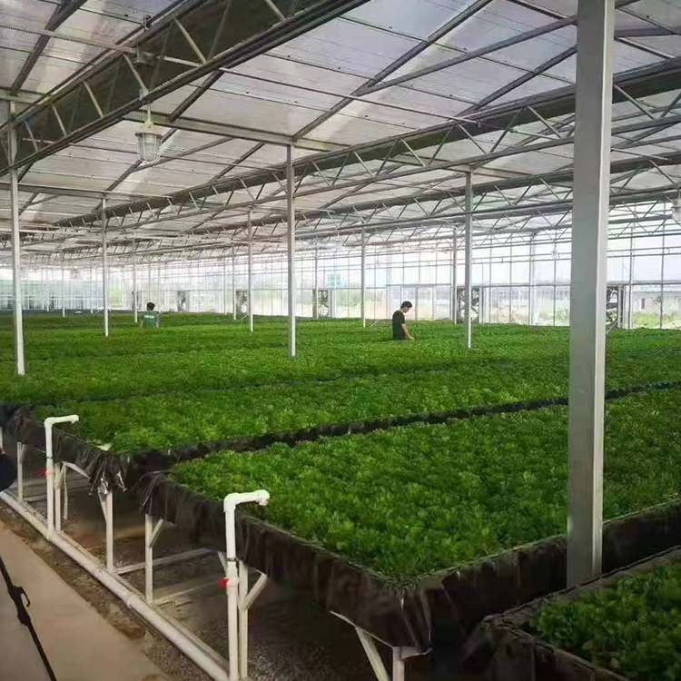 無土栽培，無土栽培技術，無土栽培設備