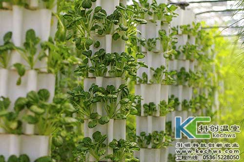 無土栽培,無土栽培技術,無土栽培設備